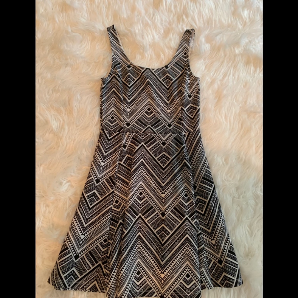 H&M Black and White Skater Dress